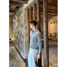 网图慎用毛衣D1201P852025秋冬男士海鸥领毛衣麻花针织衫，男装针织衫/毛衣，电商B216（原B302）