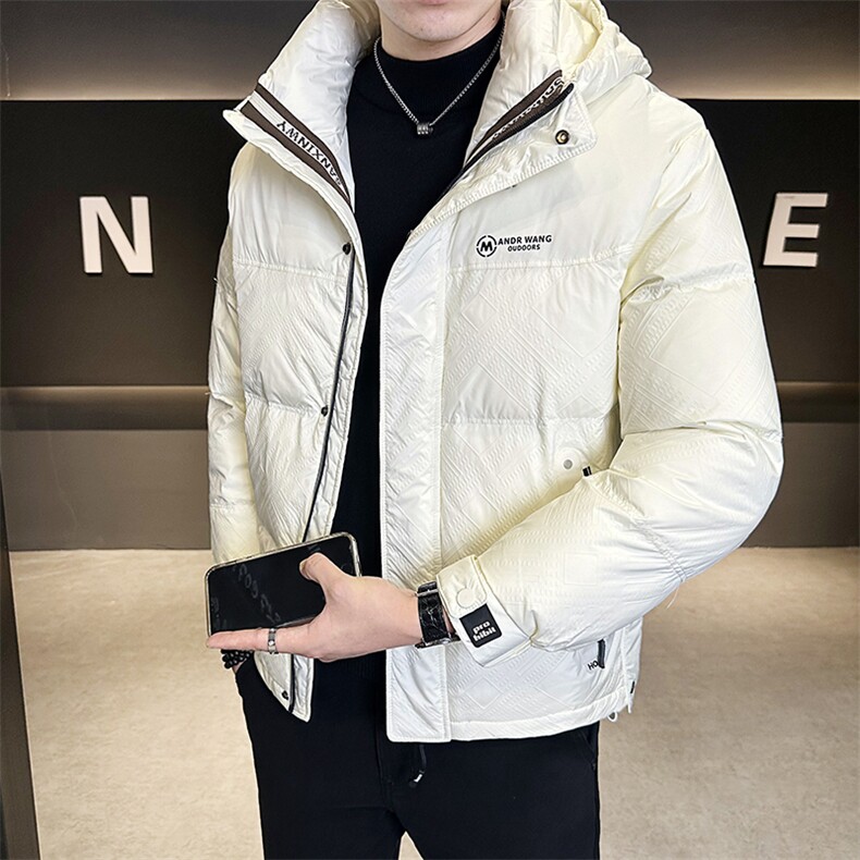 棉服男装棉衣连帽加厚手筛棉飞丝羽绒服C317-8588-P165,男装羽绒服,电商C317