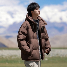 棉服男2026冬季新款宽松休闲连帽棉衣外套2399特P90控148，男装棉衣，电商A309