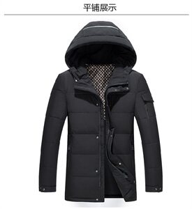 2020电商B247新款羽绒服爸爸装短款抗寒中老年连帽外套男865-P180图片