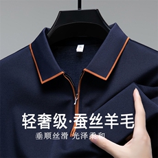 秋冬新款男士长袖休闲商务高档T恤衫中年气质潮流polo衫春秋上衣，男装T恤，电商B212（原钱塘6029）