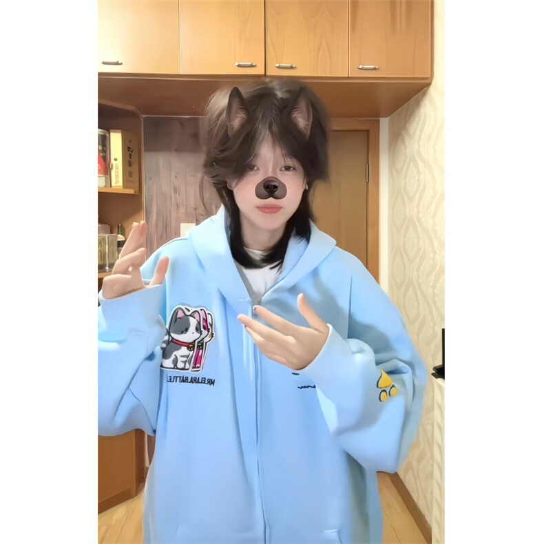 WE1742-P55美式刺绣小猫魔术贴连帽开衫卫衣,男装卫衣,电商B323A