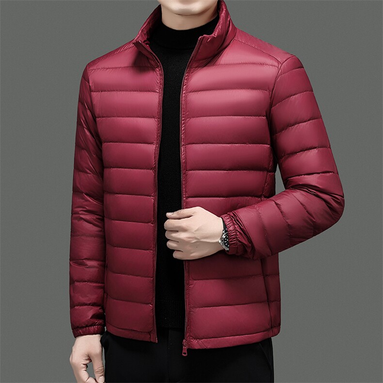 达标50绒轻薄羽绒服外套男立领冬季中青年男士休闲百搭YR911-P70，男装羽绒服，星座301D(原星座1004-8）