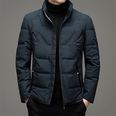羽绒服中年男士常规款冬季商务休闲鸭绒外套21新款ZELD9812-P260，男装羽绒服，电商B212（原钱塘6029）