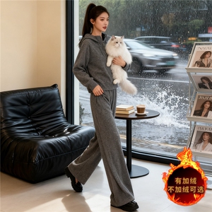 时尚休闲运动套装女秋款洋气减龄气质半拉链连帽卫衣直筒裤两件套图片