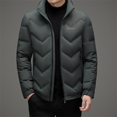DAJ812钱塘2020-2简约冬季新款百搭时尚休闲中年男士羽绒服P175，男装羽绒服，钱塘207-2