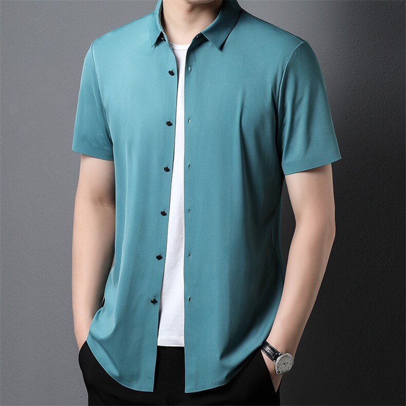短袖衬衫男士夏季商务休闲职业西装寸正装中年爸爸免烫工作服衬衣,男装衬衫,电商B212（原钱塘6029）