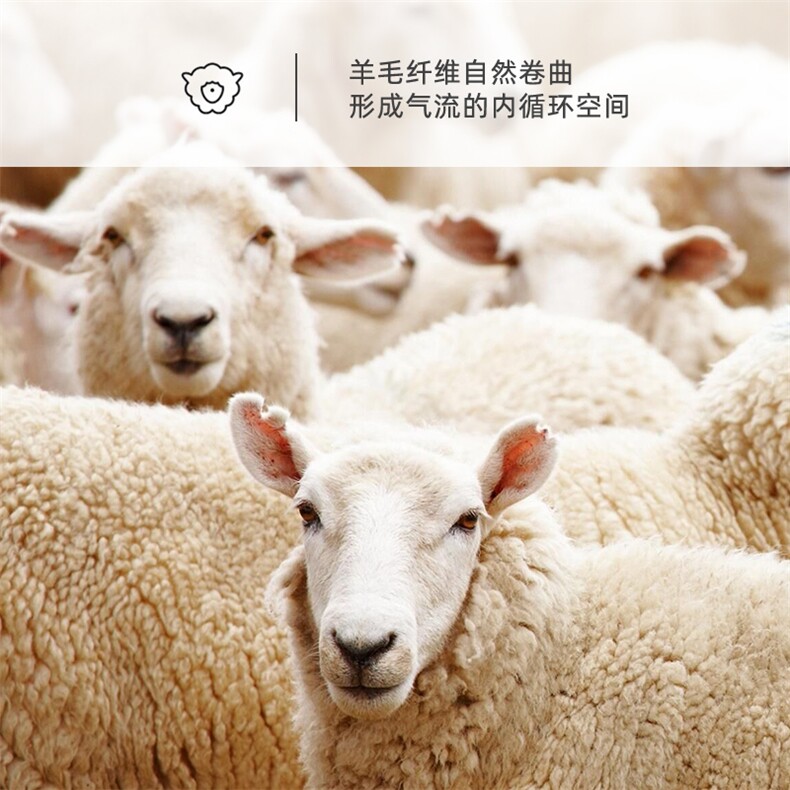 秋冬保暖舒适真丝德绒护肘袖套人体工学设计贴合无束缚新款,饰品周边,晨宏羊绒