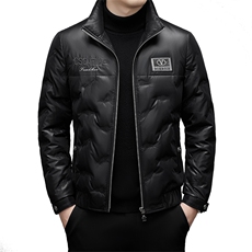 DJ22129钱塘2020-3冬季厚款时尚休闲简约立领中年男士羽绒服P350，男装羽绒服，钱塘207-3