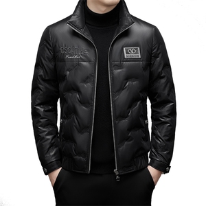 DJ22129钱塘2020-3冬季厚款时尚休闲简约立领中年男士羽绒服P350图片