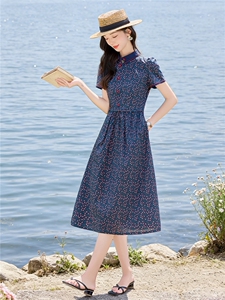 田园风斜领碎花刺绣连衣裙女春夏收腰显瘦中长裙（细节图颜色为）图片