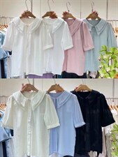 【现货】绣花领小衫，其它，里奈(5F)