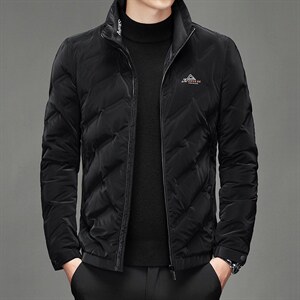 中年男士休闲立领白鸭绒羽绒服保暖防寒纯色羽绒男BJY08211-P190,男装羽绒服,电商B212（原钱塘6029）
