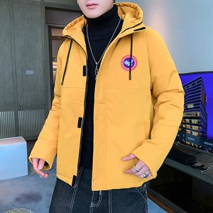 2020冬装新款潮牌连帽宽松大码棉衣男外套男 A438-DT5555图片