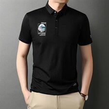 POLO衫男上衣半袖男装衣服男士体恤衫T恤潮牌休闲翻领爸爸短袖男，男装T恤，电商B212（原钱塘6029）