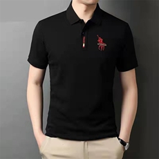 夏季新款男士短袖男款POLO杉高档轻商务翻领半袖百搭中年爸爸装，男装T恤，电商B212（原钱塘6029）