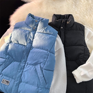 情侣男女同款潮流休闲宽松流行保暖加厚棉马甲B760-P55【特价】图片