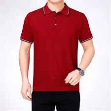 2023夏装新款短袖t恤中年冰丝polo衫男士夏季宽松免烫男装上衣服，男装T恤，电商B212（原钱塘6029）