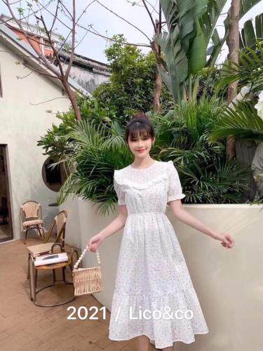 Lico&co(1F) LICOCO1F113045