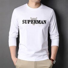 秋季套头宽松圆领卫衣男时尚百搭潮流中年男士春秋装长袖t恤潮，男装卫衣，电商B212（原钱塘6029）