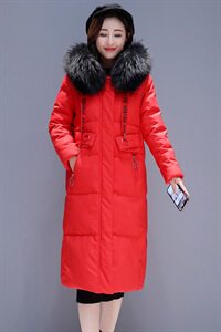 棉衣/棉服201年冬季韩版时尚休闲舒适潮流保暖简约大气图片
