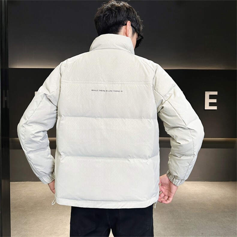 2025冬季DS-A225标新款男士立领白鸭绒羽绒服夹克885506-P150,男装夹克,电商A225