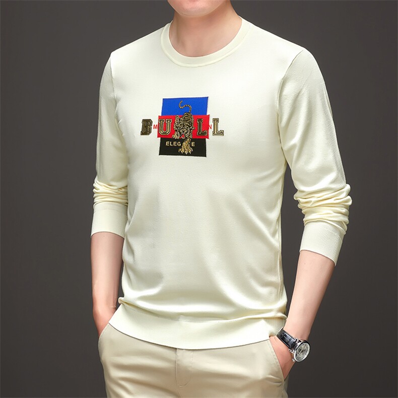 BJ1212钱塘2020-2中青年男士秋季圆领简约时尚休闲针织衫P72,男装针织衫/毛衣,钱塘207-2