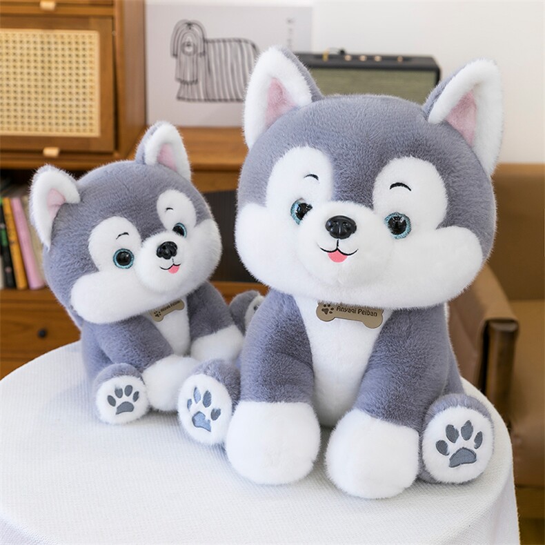 坐版哈士奇，乐贝儿网供