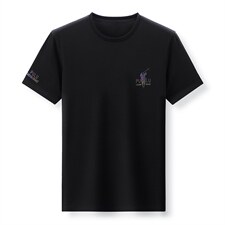 夏季中老年人短袖t恤男士冰丝宽松两件套2023新款中年夏装套装，男装休闲套装，电商B212（原钱塘6029）