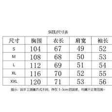 蓝色衬衫女2025新款气质衬衣外套独特漂亮长袖上衣设计感小众，男装衬衫，星座1210-1