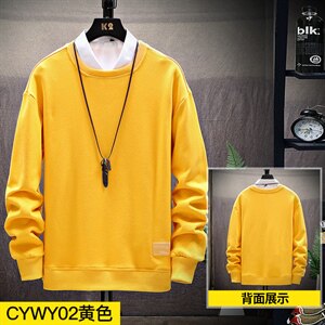 2021秋季新款男士大码卫衣圆领套头休闲打底衫上衣CYWY02-P35图片