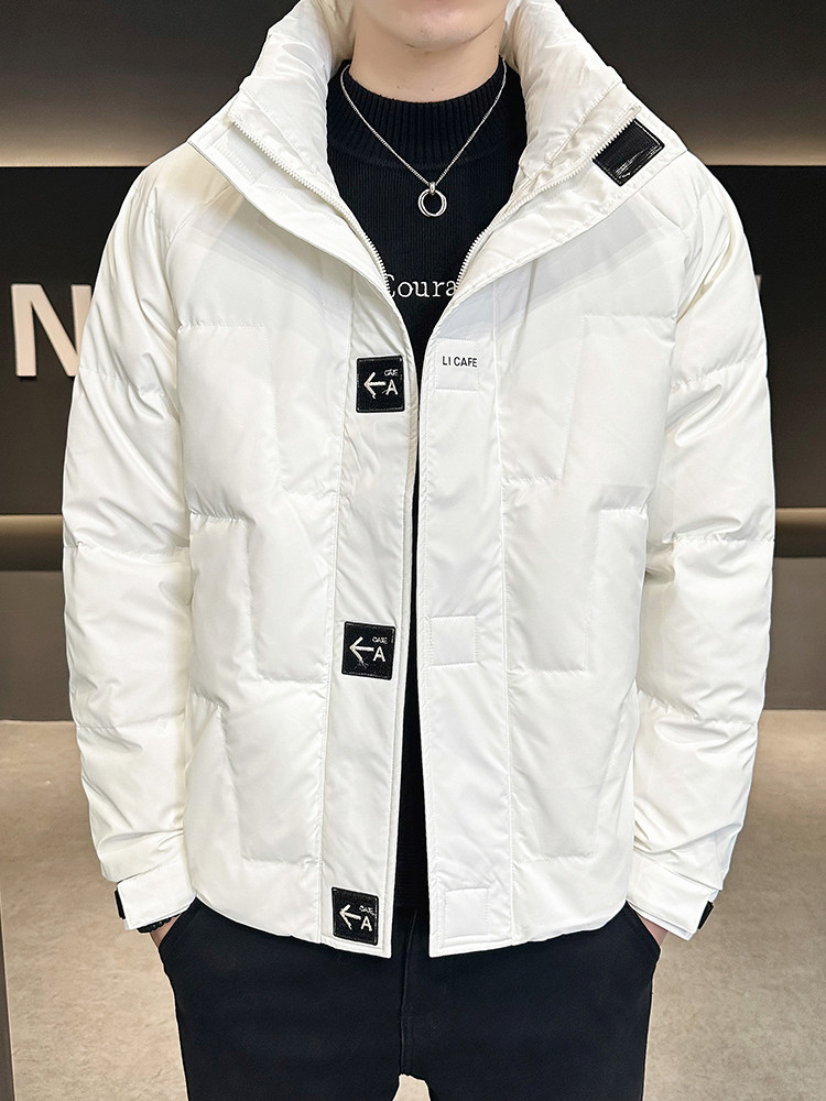 冬立领潮牌白鸭绒御寒加厚保暖韩版青年防寒短款外套派客服男装,男装羽绒服,钱塘6003（原4033）