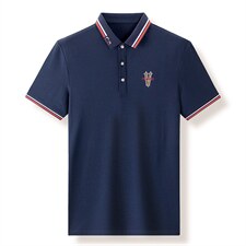 polo衫男夏季新品t恤男短袖翻领保罗衫商务男装潮流半袖体恤，男装T恤，电商B212（原钱塘6029）