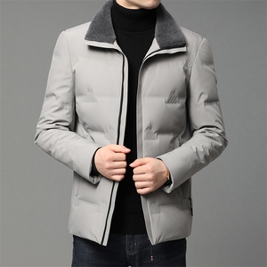 DF152055钱塘2020-2冬季新款商务休闲简约中年男士羽绒服P240图片