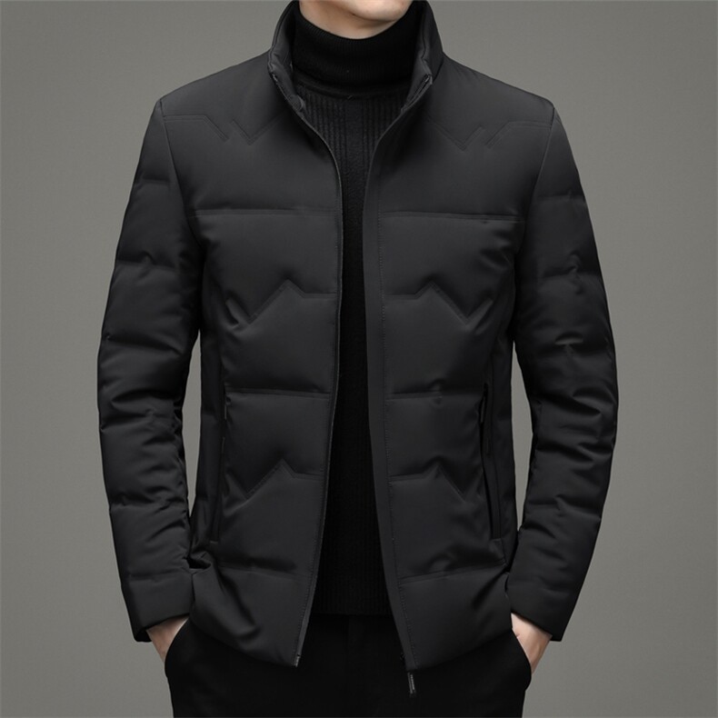 2023冬季新款立领羽绒服短款中年装加厚保暖纯色外套XX2188-P295，男装羽绒服，电商B212（原钱塘6029）