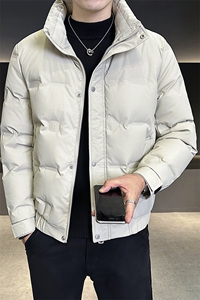 数据男士冬季羽绒服立领百搭鸭绒保暖夹克外套A225-8316-P95图片