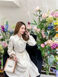 22春季新品复式口袋精致细链条腰带款连衣裙图片