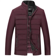 6802/P80爸爸短款棉袄中老年立领休闲商务棉服中年休闲商务棉衣，男装棉衣，星座1216（原钱塘722）