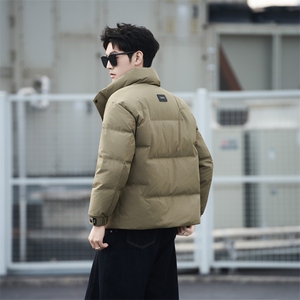 标50绒 轻薄立领羽绒服男冬季2025新款外套6633-M-4XL-P215图片