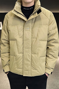 AK87801钱塘2020-3冬季厚款时尚休闲简约中年男士羽绒服P155图片