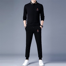 DZF-760钱塘2020-3中年男士秋季新款时尚休闲翻领简约套装P102，男装休闲套装，钱塘207-3