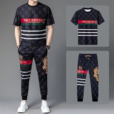 2023夏季新款短袖套装男百搭潮牌中青年男士运动休闲套装，男装休闲套装，电商B212（原钱塘6029）
