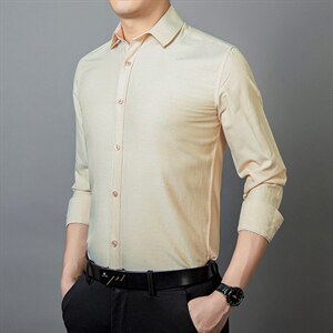 BTC2203钱塘2020-2春秋季新款长袖中年男士薄款简约休闲衬衣P43图片