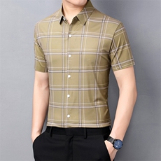 短袖衬衫男夏季新款条纹格子免烫寸衫中年薄款商务休闲上衣服P83，男装衬衫，钱塘6003A(原)4033A