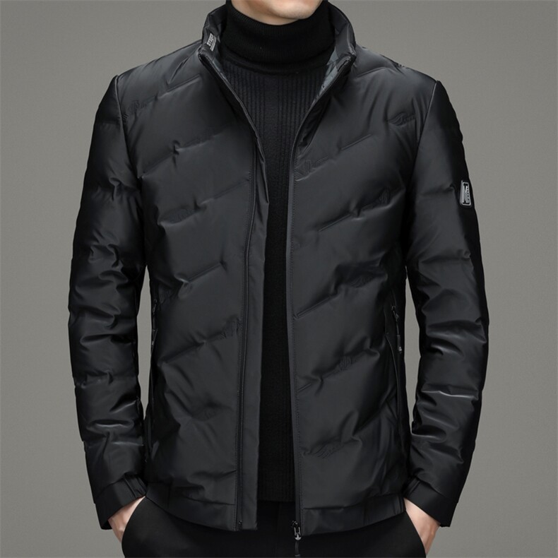 灰鸭绒中青年立领商务休闲羽绒服冬季保暖男装上衣ZSab2120-P260,男装羽绒服,电商B212（原钱塘6029）
