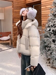 现货新款2163-P275-K399小个子羽绒面包服图片