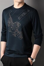 纯色印花上衣时尚潮流中年男士爸爸装T恤商务休闲男装宽松薄款，男装T恤，电商B212（原钱塘6029）