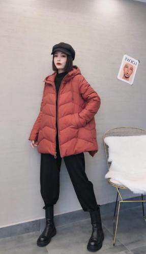 赛蝶衣社 HZSDYS102786