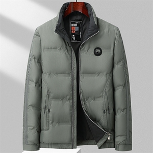 BZC2392钱塘2020-2时尚休闲简约冬季厚款中年男士羽绒服P190图片