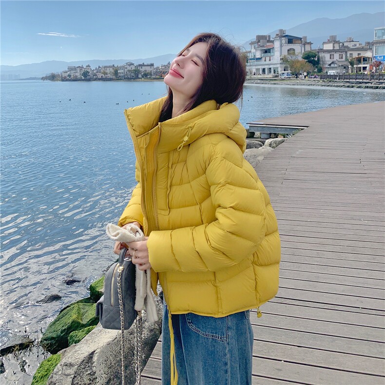 【现货】2025年冬季90白鸭绒短款连帽羽绒服2588款P295K398，女装羽绒服，浙宝301